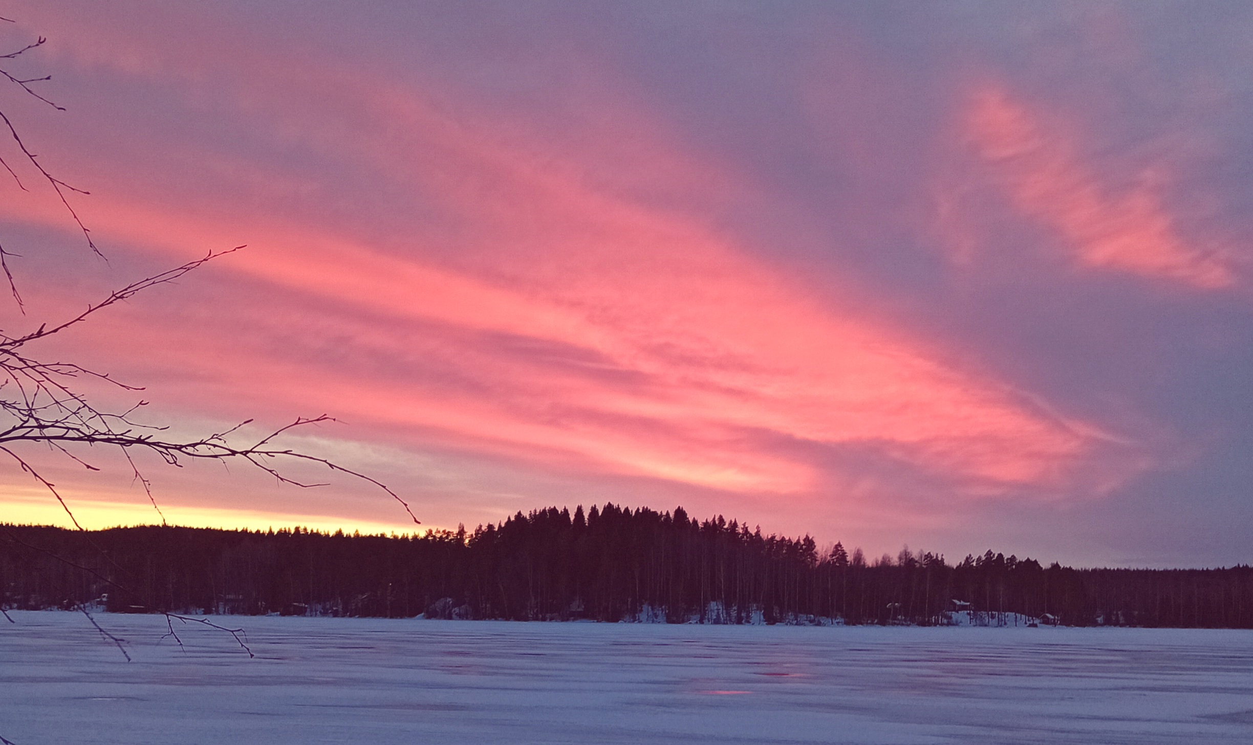 Vaaleanpunainen talvinen auringonlasku, symbolikuva rauhasta